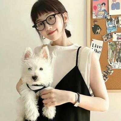 狐蝠